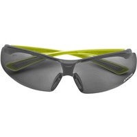 Sicherheitsbrille RSGT02, Schutzbrille - schwarz/grün