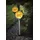 PARFORCE TRADITIONAL HUNTING Solarleuchte Edelstahl 26,5 cm 2er Set bernsteinfarben