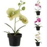 Murago - Kunstblume Orchidee im Topf ca. 26 cm - Grün - Künstliche Orchidee mit Topf Kunstblumen Frühling Sommer Dekoration Pink mini klein wie echt Kunstpflanzen Orchideen Blumen