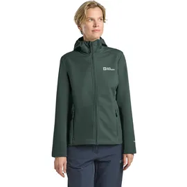 Jack Wolfskin Bornberg Hoody W