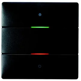 Theben LUXORliving iON2 Tastsensor 2 Tasten 2 St. Schwarz