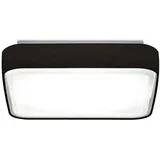 Brumberg KORI 1 LED 31 x 31 cm schwarz/opal