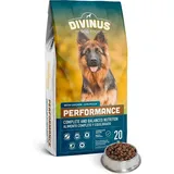 DIVINUS Performance 20 kg