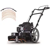 SCHEPPACH HMP161-56B 4,1 PS