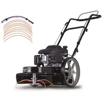 SCHEPPACH HMP161-56B 4,1 PS