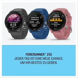 Garmin Forerunner 255 46 mm schiefergrau/schwarz