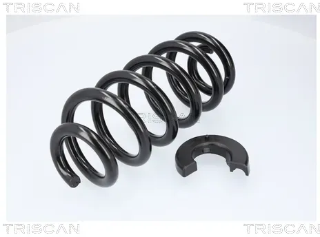 TRISCAN Fahrwerksfeder 875029578 Hinterachse für VW