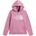 The North Face Hoodie lila XXL