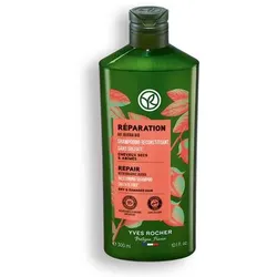 Yves Rocher - Repair-Shampoo