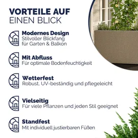 CASARIA Blumenkasten 95 x 27 x 60 cm creme