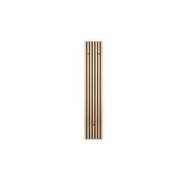 Sconto Garderobenpaneel Grace 25 x 160 cm Eiche