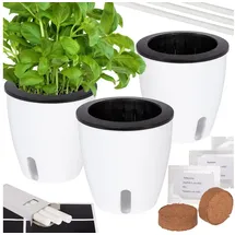 Onvaya ONVAYA® Kräutertopf selbstwässernd | Wasserstand ablesbar | 3er Set Ø 13 cm mit Kräutersamen | Hochwertige Farbe