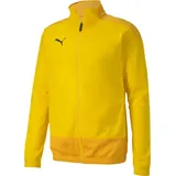 Puma Teamgoal 23 grün S