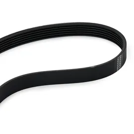 SKF Keilrippenriemensatz