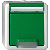 Gira Schuko-Steckdose Aufputz Grün