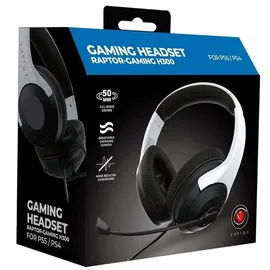 Raptor Gaming H300