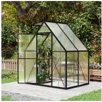 FIVMEN Gewächshaus Premium Gartengewächshäuser Aluminium mit 6 cm Fundament, 4 mm PC Platte Treibhaus Tomatenhaus Gartenhaus UV beständig