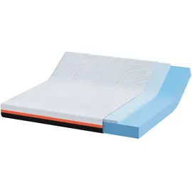 vidaXL Matratze Weiß und Grau 200 x 200 cm Gel-Speicherschaum