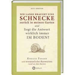 Wie lange braucht eine Schnecke zurück in meinen Garten?