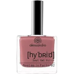 alessandro International Hybrid Meet Me in Paris 8 ml