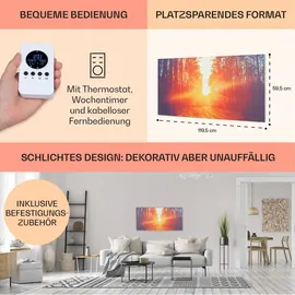 Klarstein Infrarotheizung mit Thermostat, 720W Elektroheizung, Bild-Infrarotheizung zur Wandmontage, IR Paneel mit Fernbedienung & Timer, Feuchtrau... - Bunt