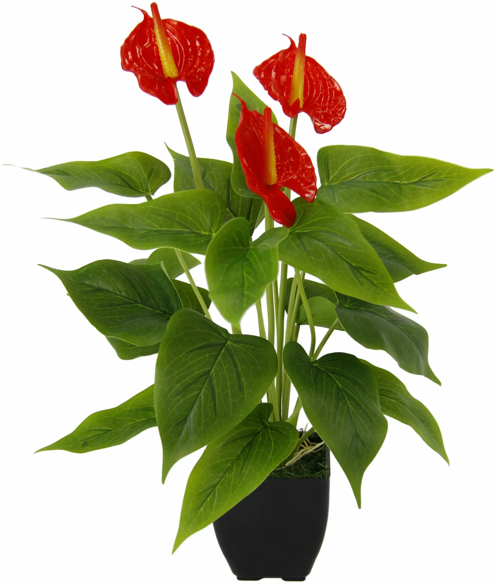 Kunstblume I.GE.A. 