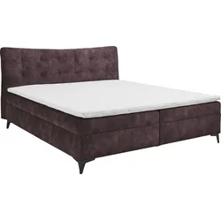 Boxbett ED EXCITING DESIGN "Melrose", lila (aubergine), B:162cm L:210cm, 100% Polyester, Komplettbetten, Boxspringbett, inkl. Topper