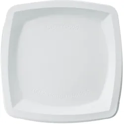 50x BIO Teller quadratisch aus Zuckerrohr Weiss 26x26 cm Zuckerrohrteller Einwegteller Einmalteller