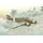 Italeri S.M.79 M Sparviero 1:72 1412