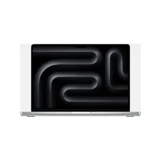 2024 M4 16 GB RAM 1 TB SSD 10-Core GPU Silber Z1DW-001001