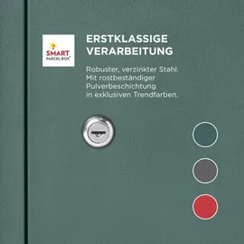 Homescapes Smart Parcel Box grün