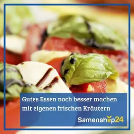 Kiepenkerl Saatgut Koreanische Minze für ca. 100 Pflanzen