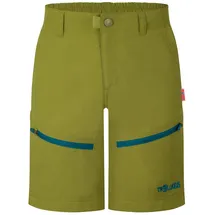 TROLLKIDS Seiland Shorts Grün S
