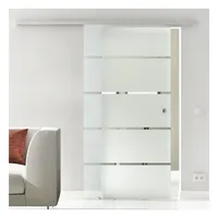 Dormame Schiebetür Glasschiebetür 4 Streifen Komplettset grau 102.5 cm x 205 cm