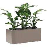 Euro3Plast Greener KEBE 3154.G9Pflanzkasten Kunststoff Taupe