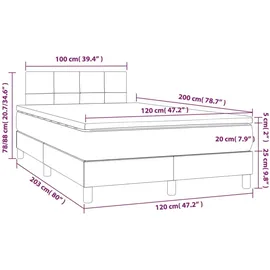 vidaXL Boxspringbett mit Matratze & LED Hellgrau 120x200 cm Samt