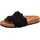 Verbenas Rocio Roda negro 41