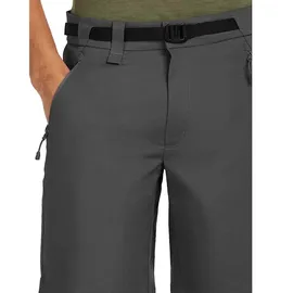 Icebreaker Merino Elevation Stretch Shorts Grau 34