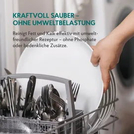 HAKA Geschirrreiniger Pulver 2 kg