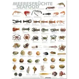 Küchenposter Meeresfrücht (59,4 x 84cm), alles Wichtige auf einen Blick, 1 Stück