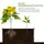 Outsunny Hochbeet Kunststoff,