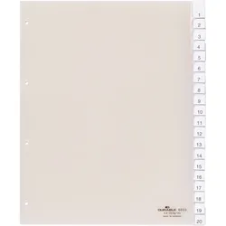 Durable Register 683319 245x297cm 20teilig Hartfolie transparent