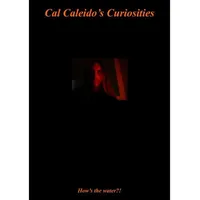 Epubli Cal Caleido's Curiosities, von Cal Caleido