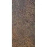 GROJA Sichtschutzelement 90 x 180 x 0,8 cm Braun HPL