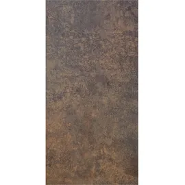 GROJA Sichtschutzelement 90 x 180 x 0,8 cm Braun HPL