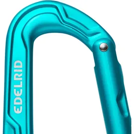 Edelrid Axiom Karabinerhaken Icemint