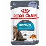 Royal Canin Urinary Care Jelly 48x85g