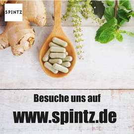 Spintz Bio Guarana Pulver 1000 g