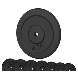G5 HT SPORT Hantelscheibe Gusseisen Ø 25 mm für Fitnessstudio und Home Gym 2 kg