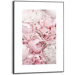 Reinders Wandbild 50 x 70 cm Peonies in Pink Holz Rosa